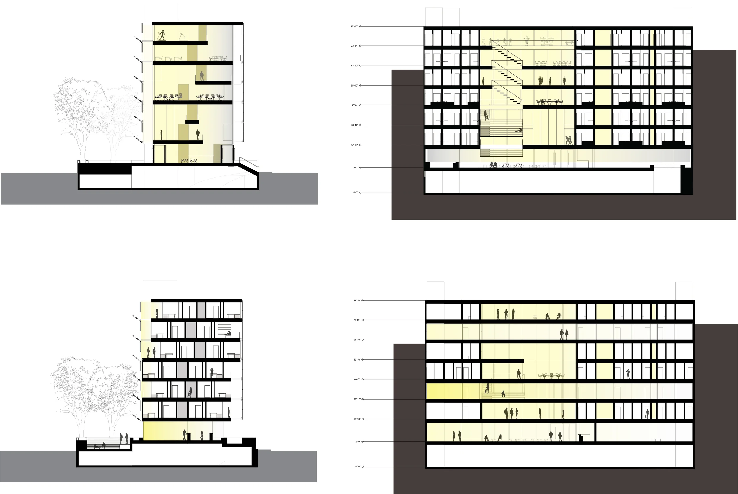 Building Sections