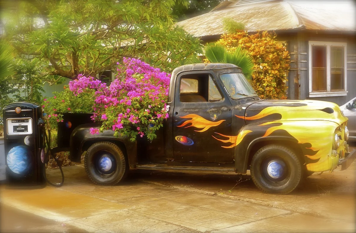 Derelict, Hawaiian Style