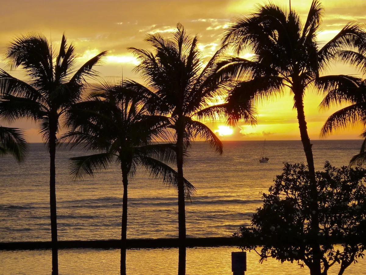 Golden Glow