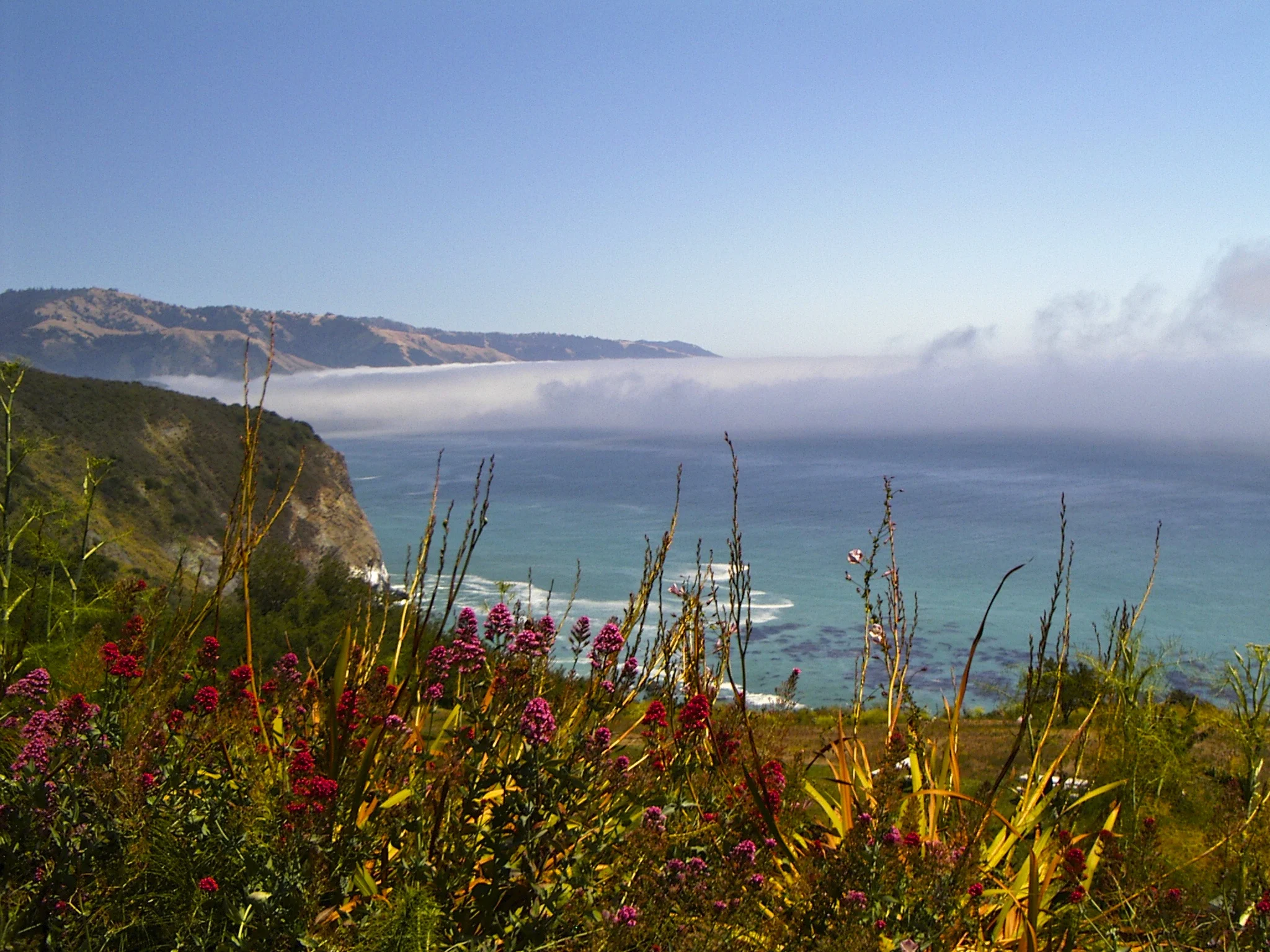 Big Sur Reveal