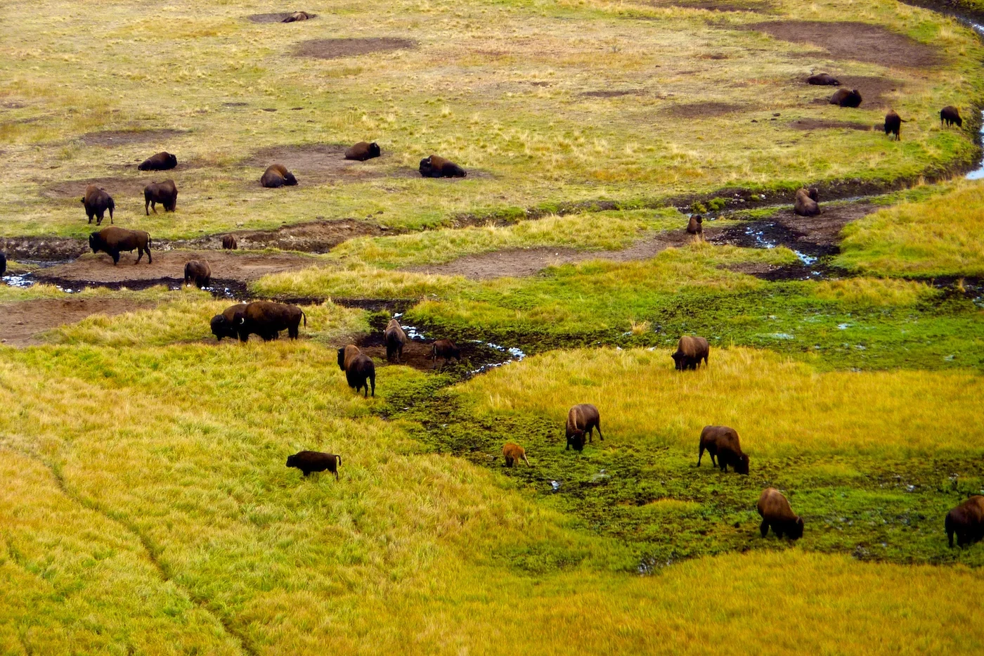 P1000173 - Version 2.JPG