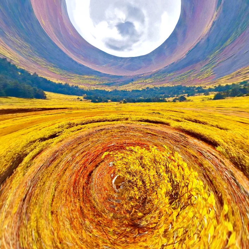 SURROUNDED IN GOD'S COUNTRY