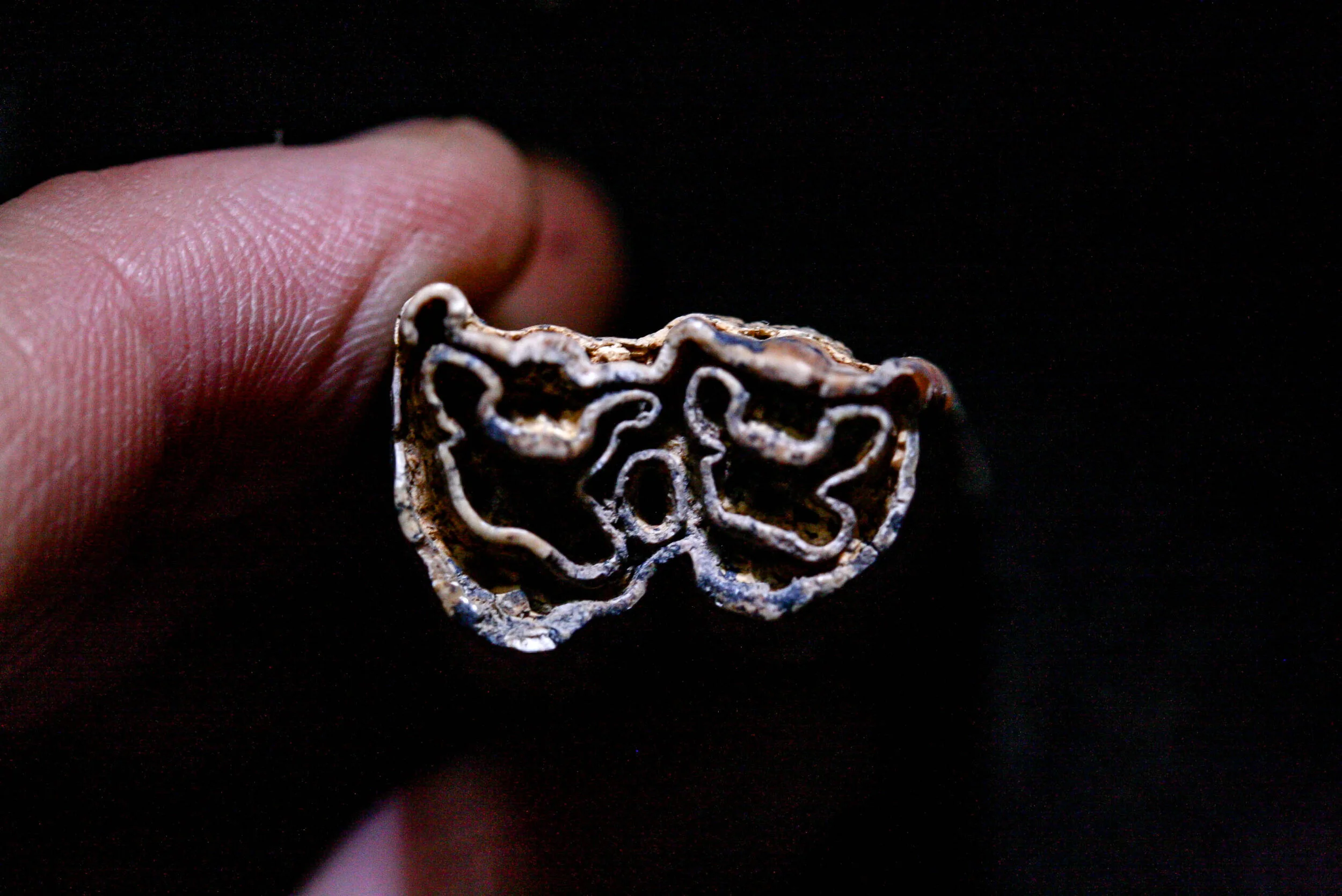 2 ancient teeth.jpg
