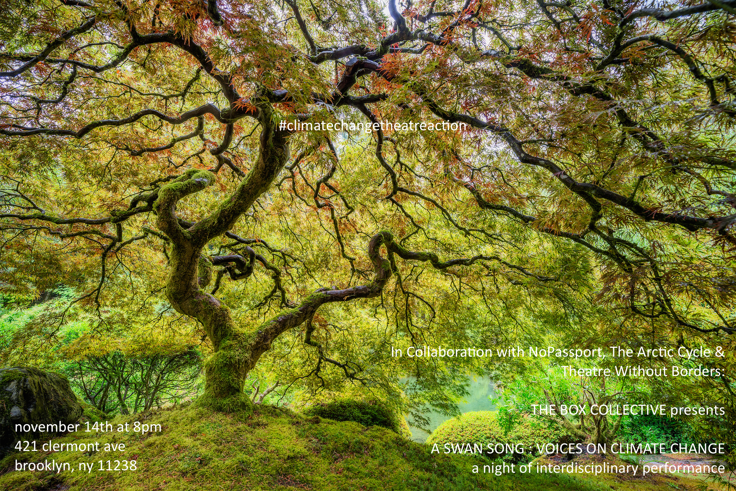 Image courtesy of Brent Goldman Photography