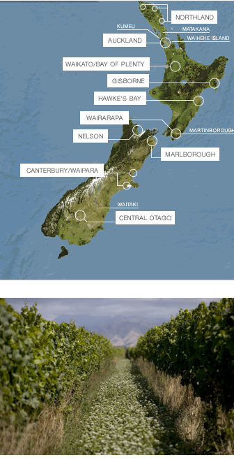 Wairau Valley, Marlborough New Zealand 