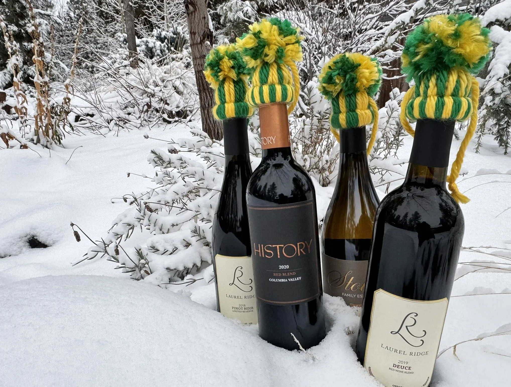 Ducks Wine Hat2.JPEG