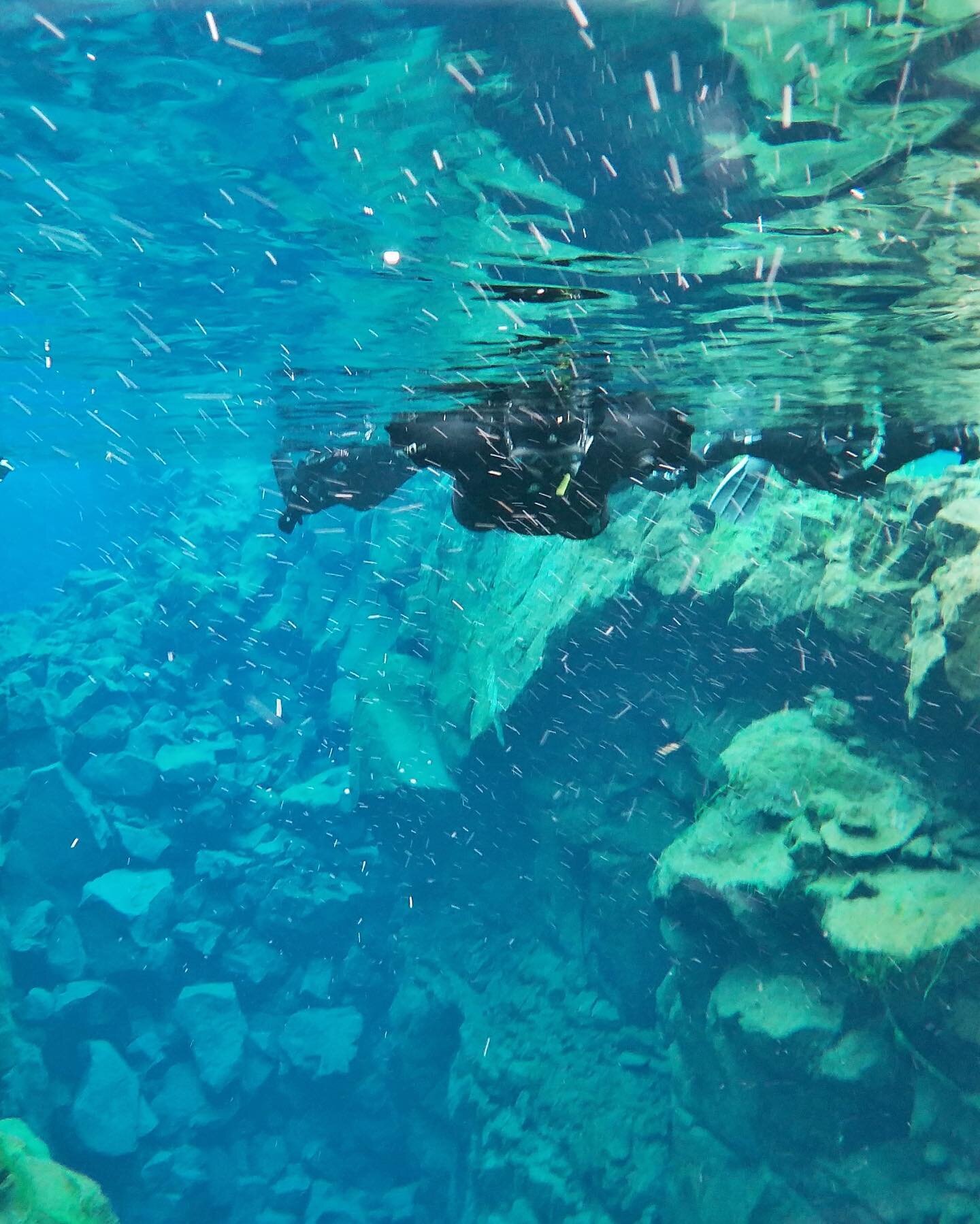 Went snorkeling today in the rift between the North American and Eurasian tectonic plates. The colors were mesmerizing!