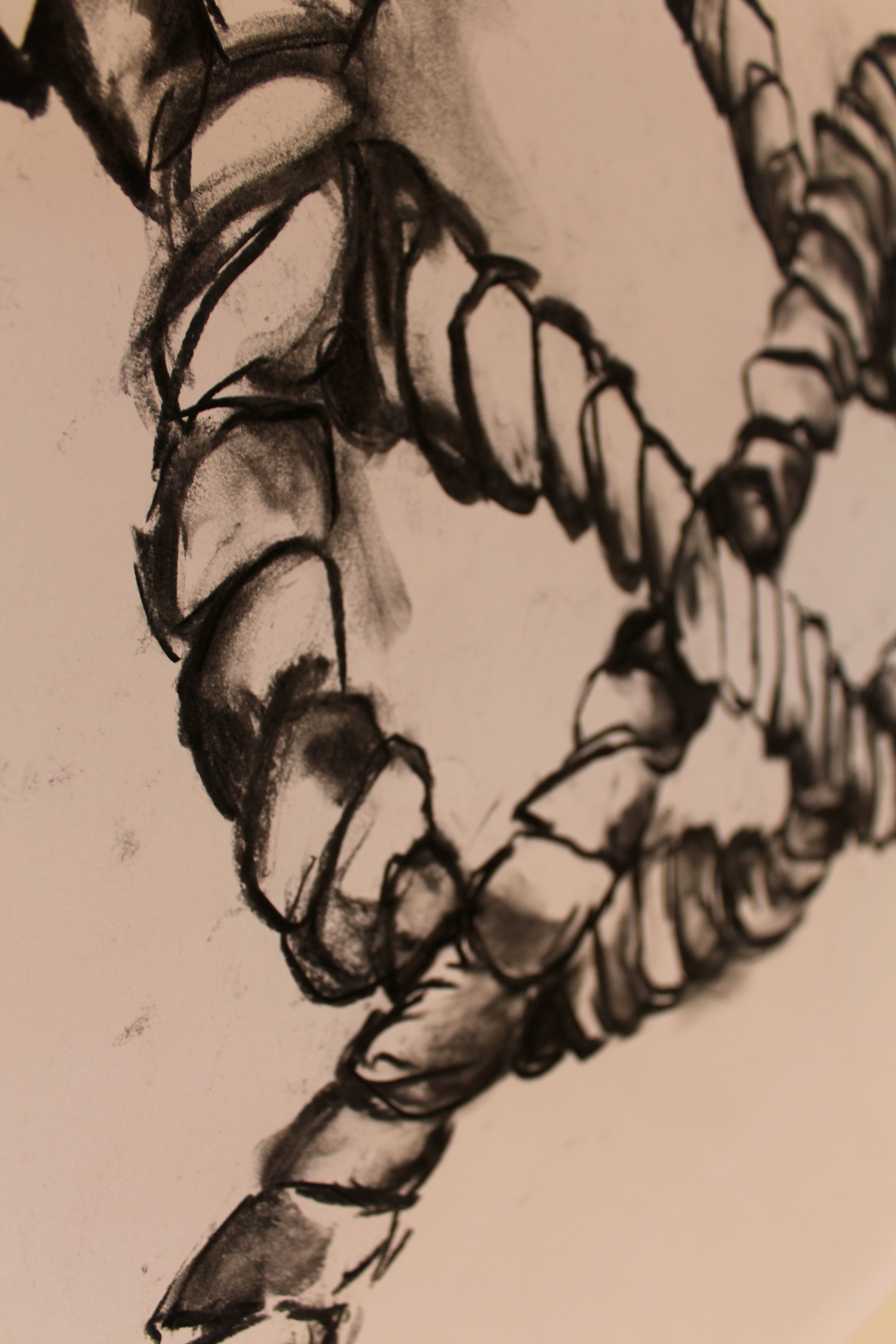 Knot Series, Feb 2015