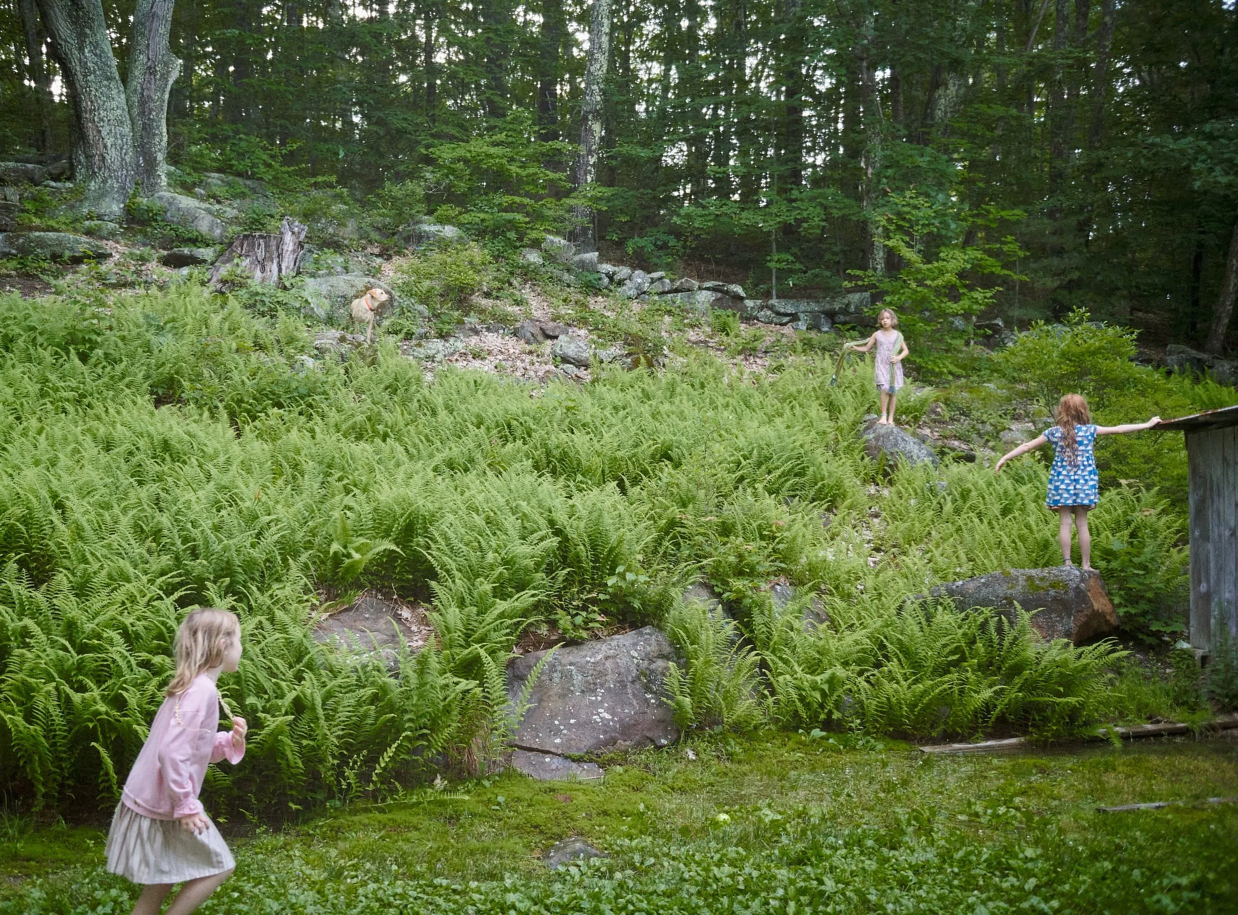 Sweet summer woodland fairies 🧚🧚&zwj;♀️🧚&zwj;♂️
