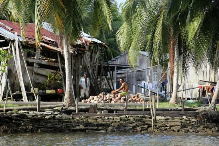 Residents peel coconuts for sale near the Island of Limones, in the province of Esmeraldas , Ecuador.