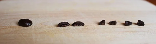  Arranged in order of increasing surface area.