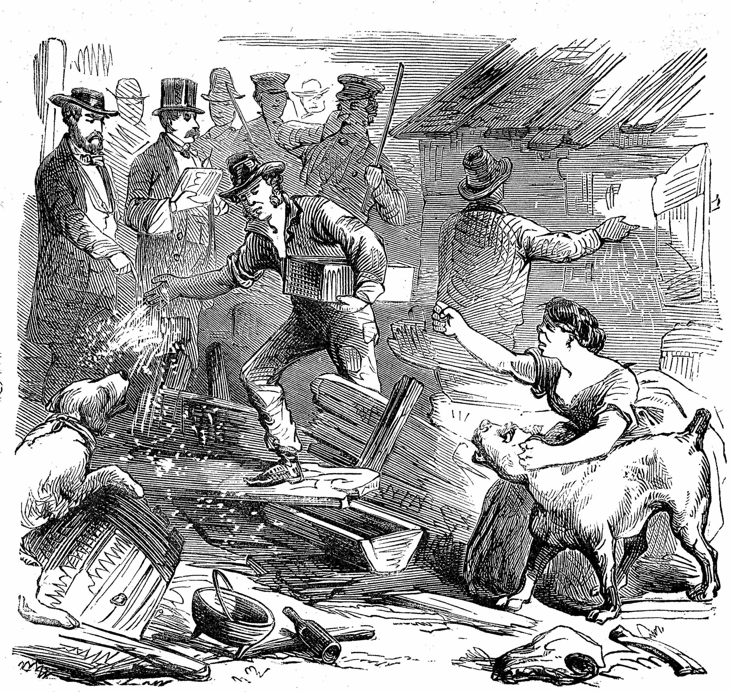 Figure 2: A piggery owner raises her fist as officials sprinkle lime over her destroyed property in an effort to disinfect it and mitigate the odors. Frank Leslie’s Illustrated Newspaper, August 13, 1859.