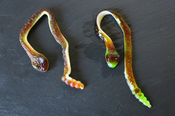 Gummy snakes!