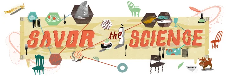 Illustration by Molly Mendoza. 