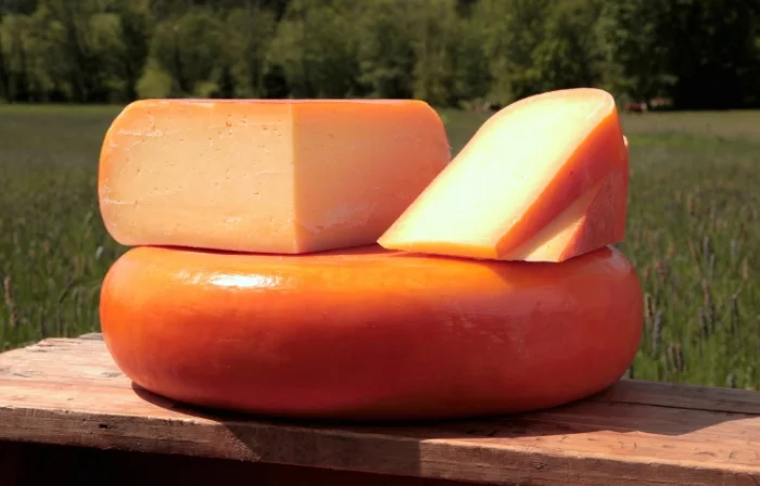 Jacobs Creamery's Gouda. 