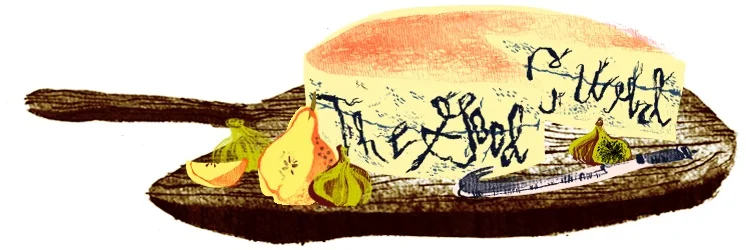 Illustration by Cate Andrews.