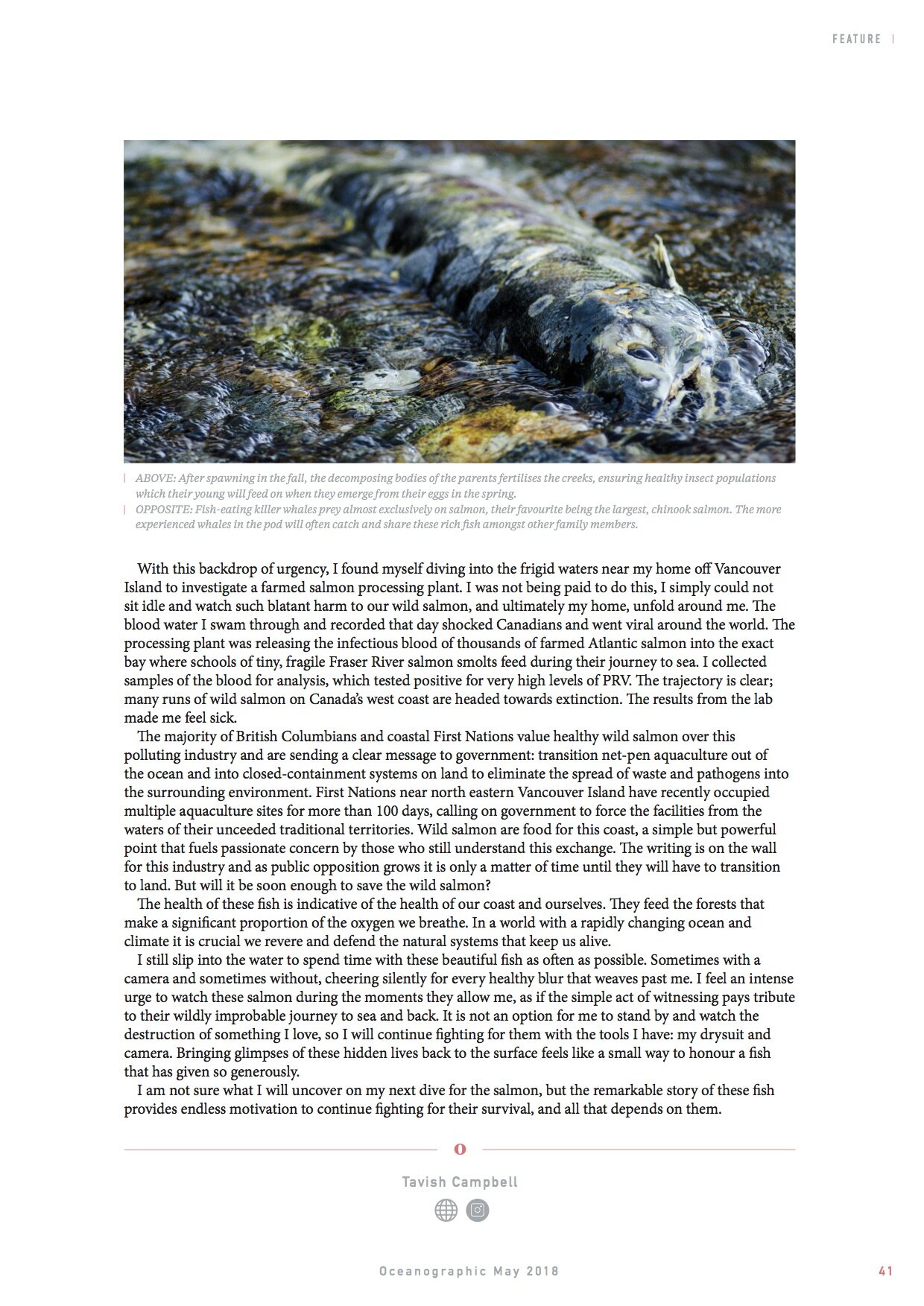 Issue 1 - Salmon_10.jpg