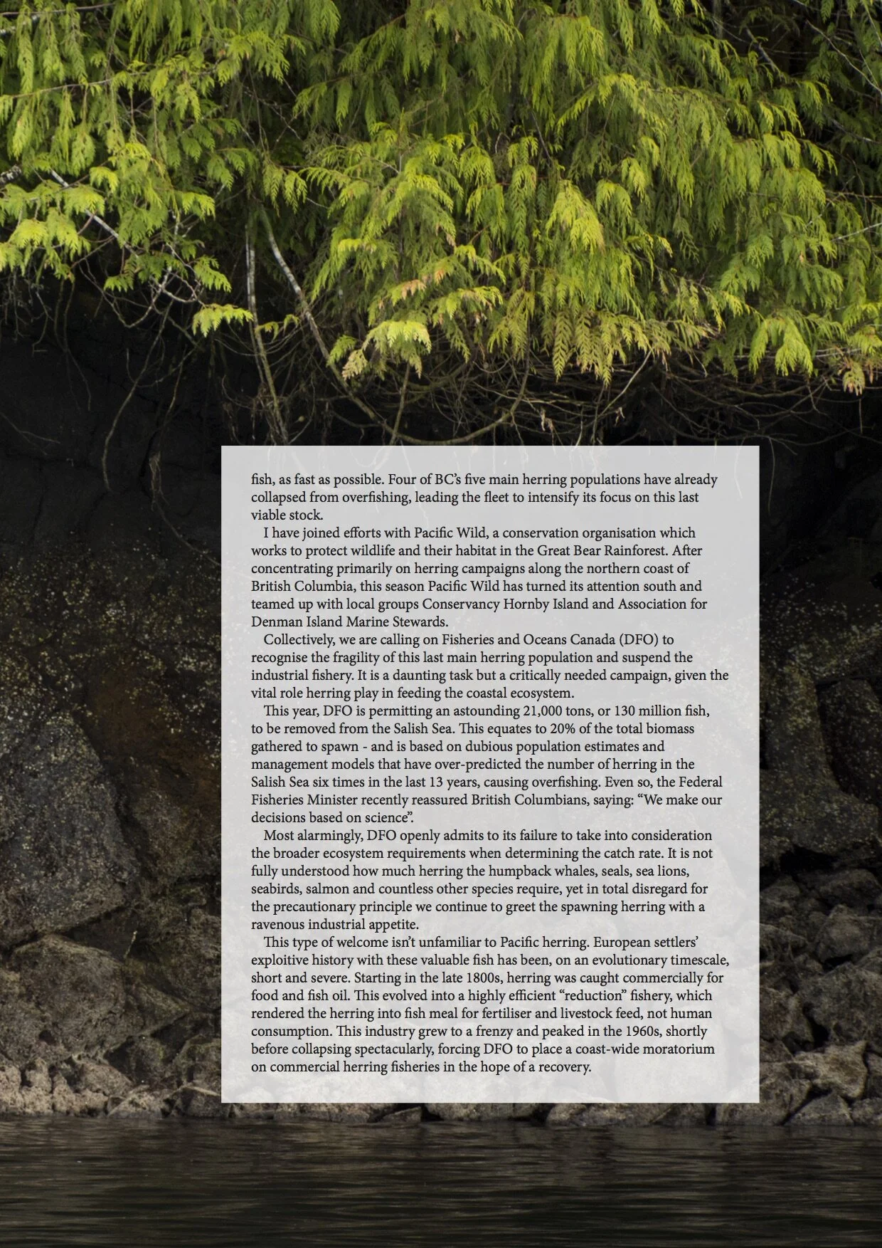 Issue 6 - Herring_7.jpg