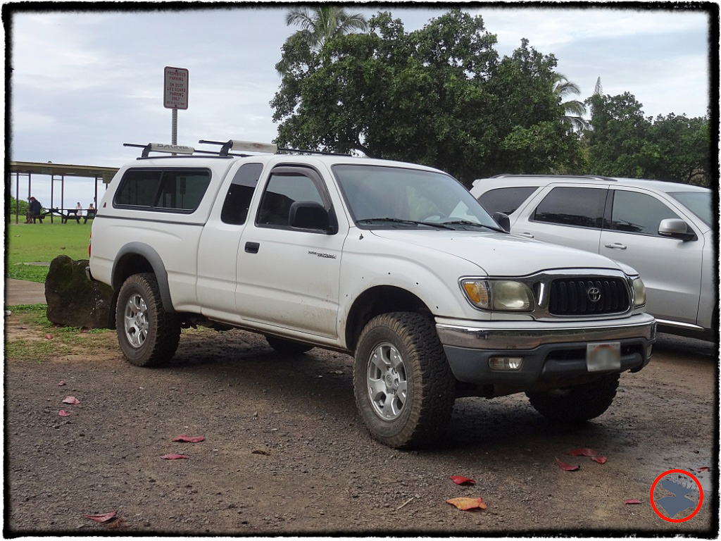 Blog Post_Toyotas in Kauai_1_April 2014.jpg