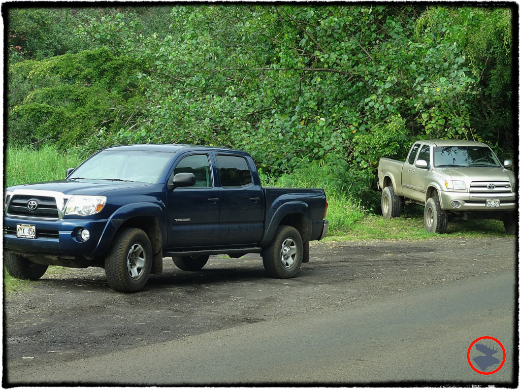 Blog Post_Toyotas in Kauai_2_April 2014.jpg