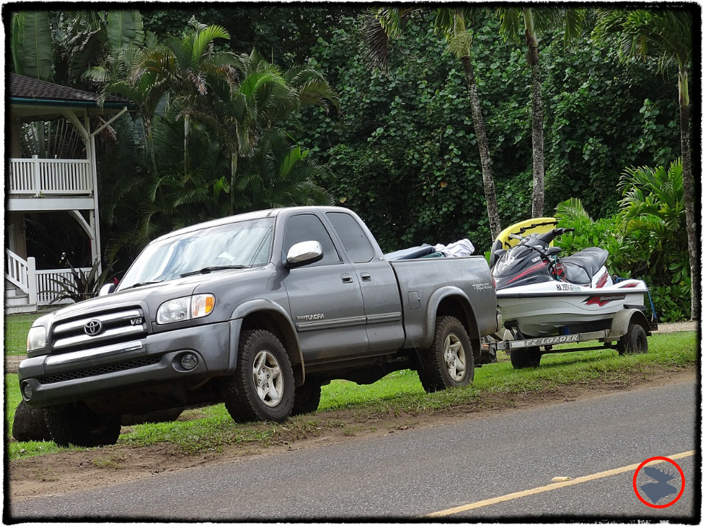 Blog Post_Toyotas in Kauai_3_April 2014.jpg