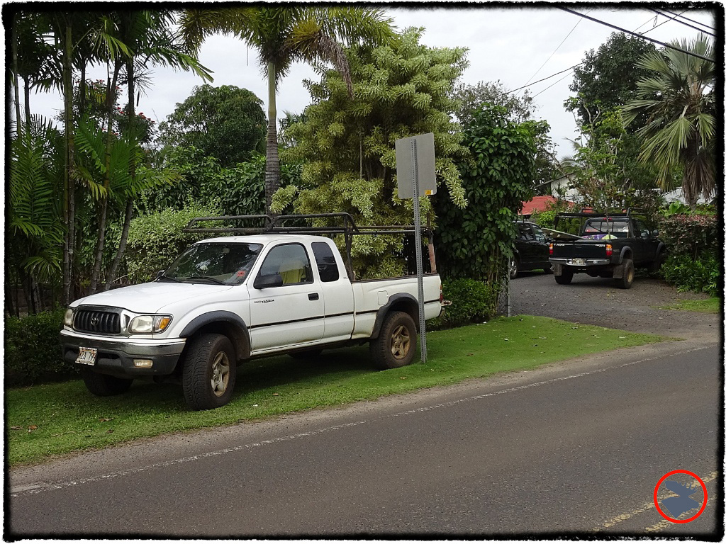 Blog Post_Toyotas in Kauai_4_April 2014.jpg