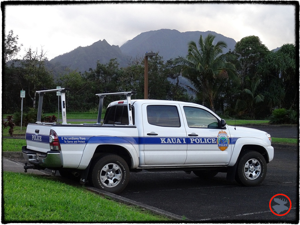 Blog Post_Toyotas in Kauai_6_April 2014.jpg
