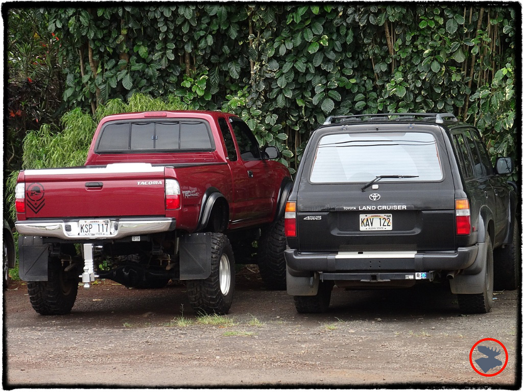 Blog Post_Toyotas in Kauai_11_April 2014.jpg