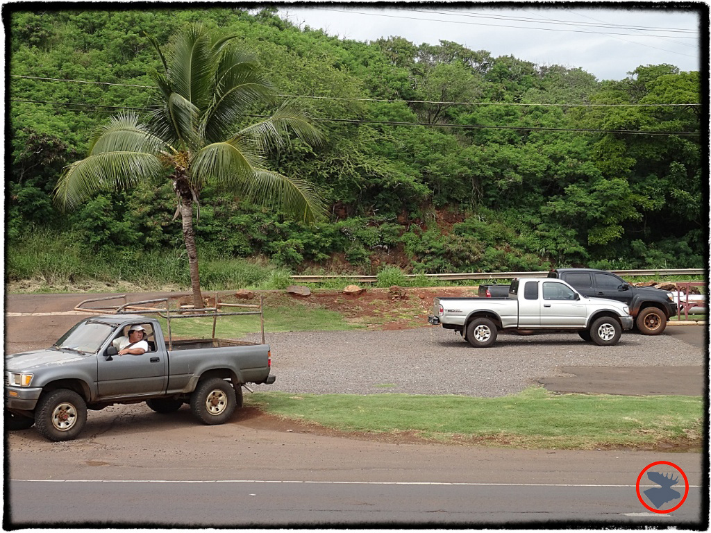 Blog Post_Toyotas in Kauai_12_April 2014.jpg