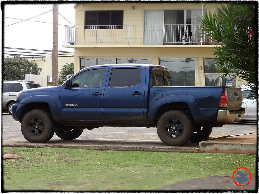 Blog Post_Toyotas in Kauai_14_April 2014.jpg