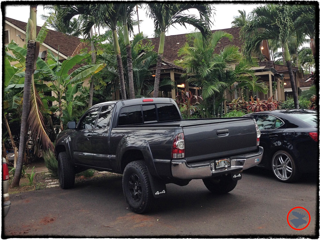 Blog Post_Toyotas in Kauai_16_April 2014.jpg