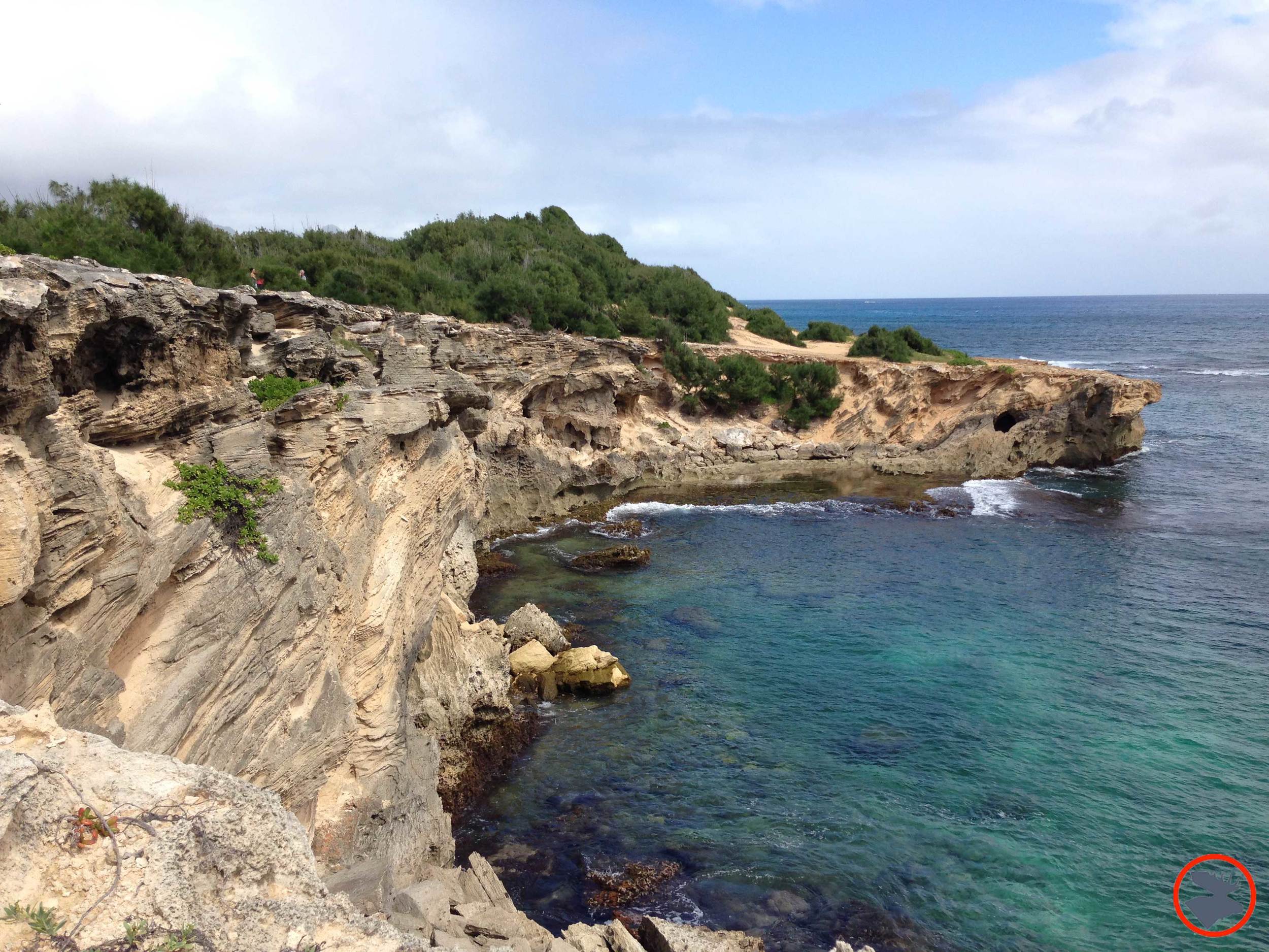 Poipu Coastline.jpg