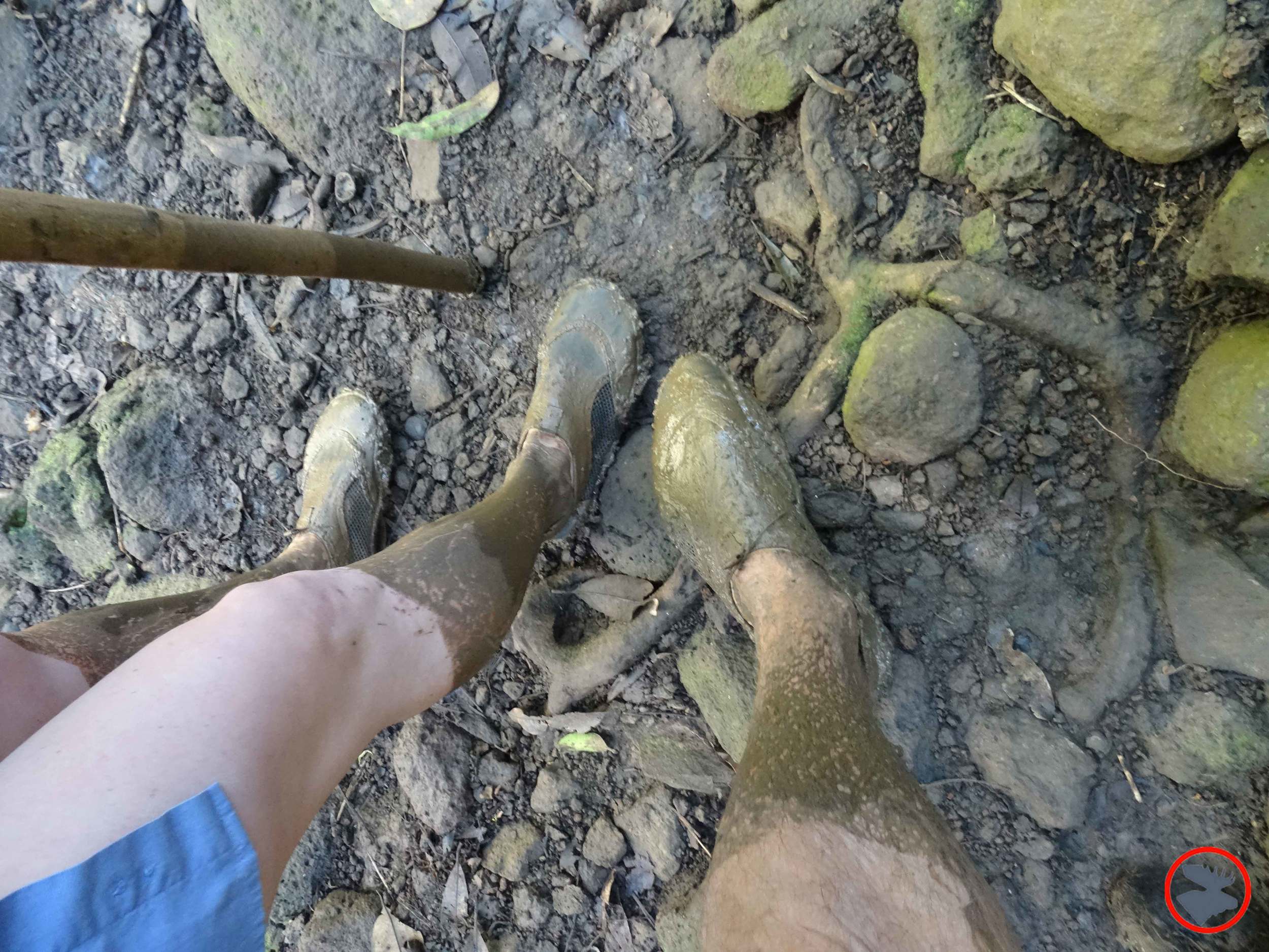 Muddy-Feet.jpg