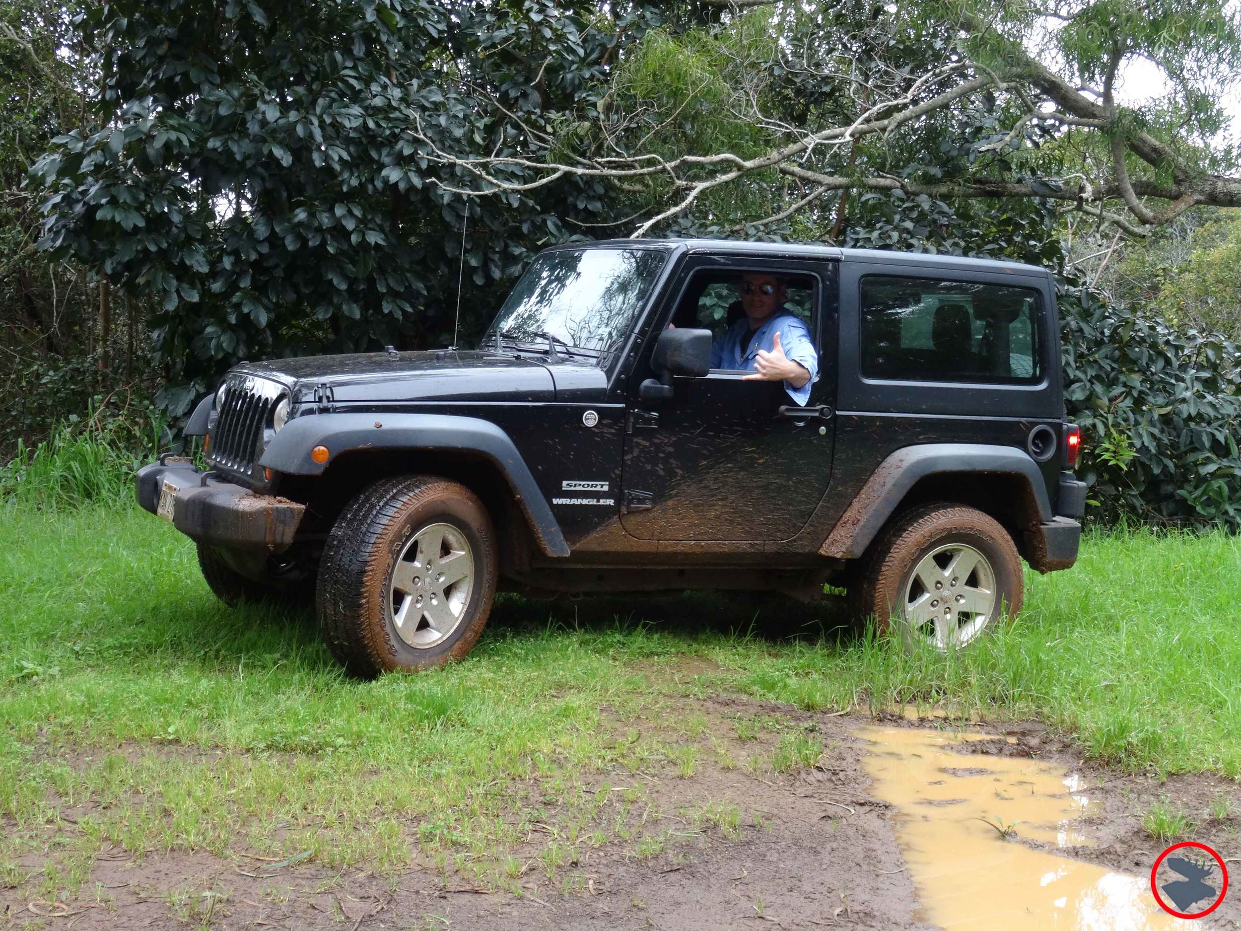 Jeep-in-Waimea.jpg