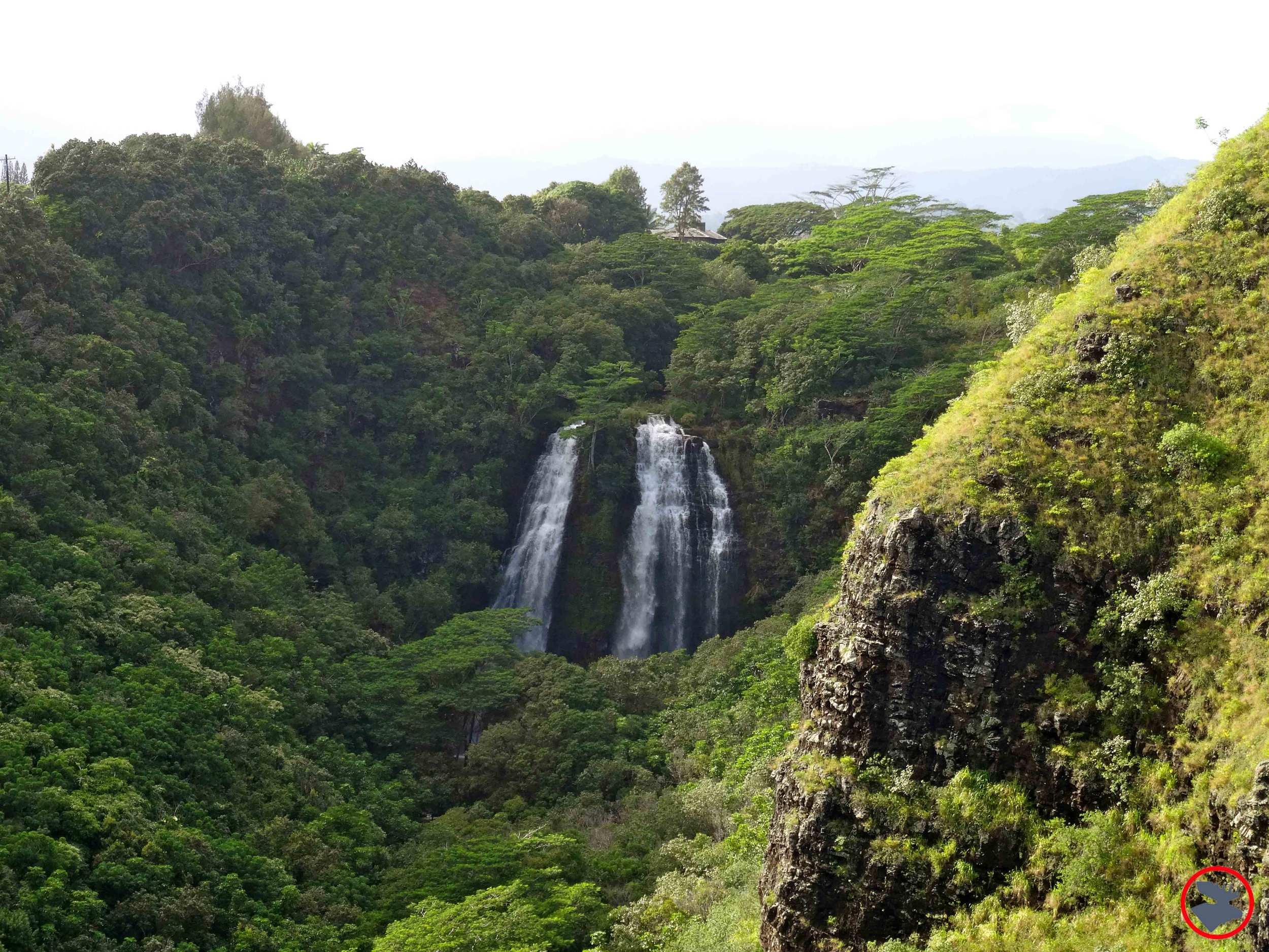 Falls-Near-Wailua-River.jpg