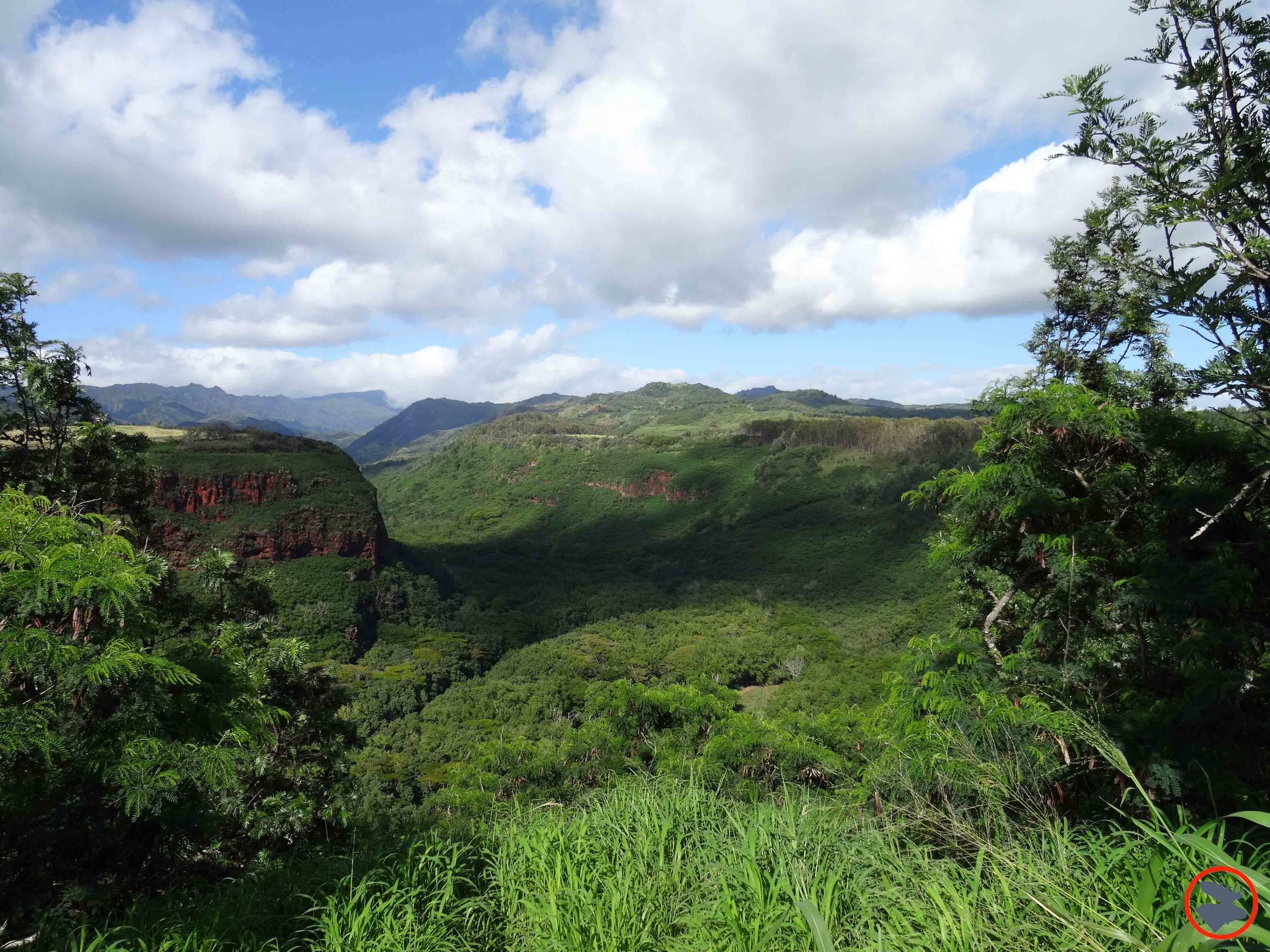 Surrounding-Wailua-River2.jpg