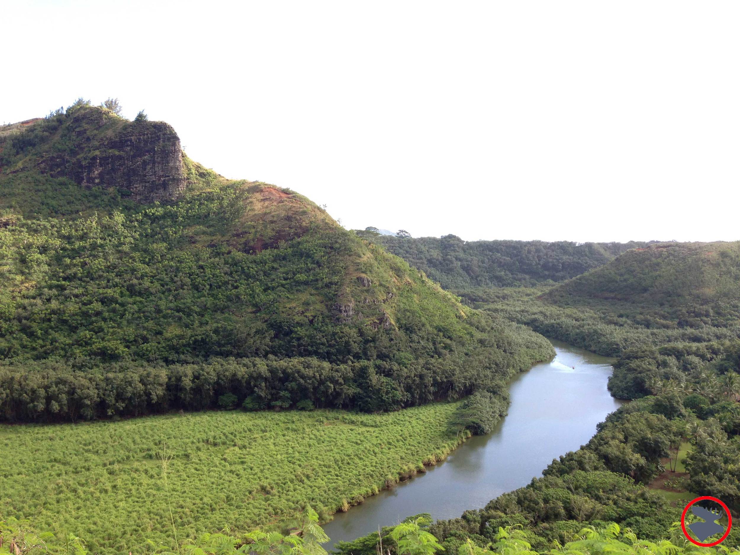 Wailua-River.jpg