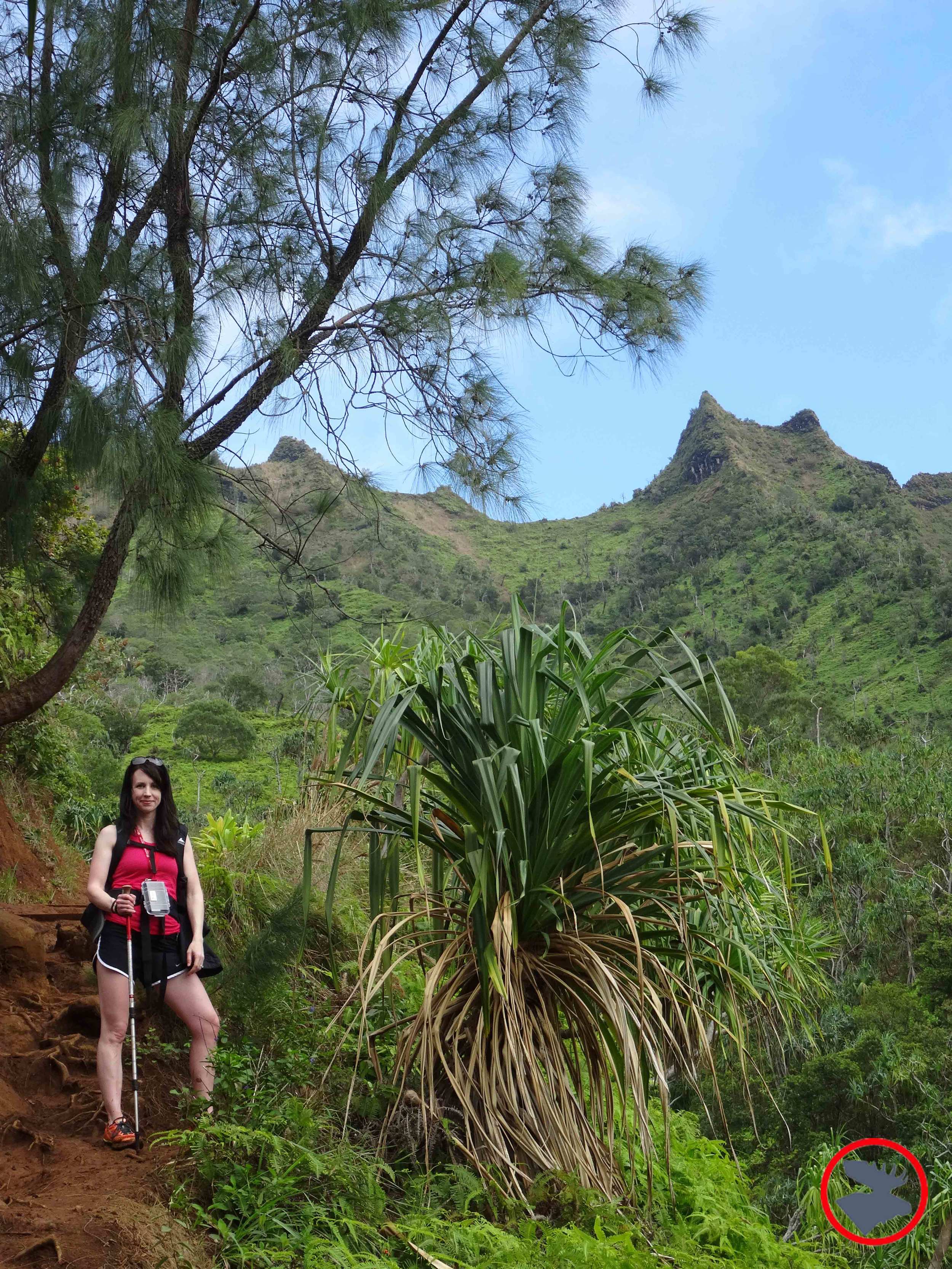 Hard-on-Kalalau-Trail-on-Napali-Coast.jpg