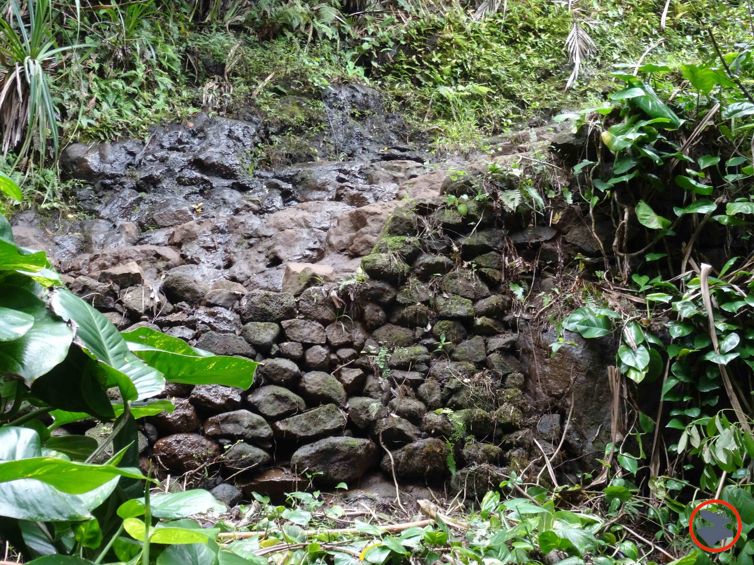 Kalalau-Trail-on-Napali-Coast2.jpg