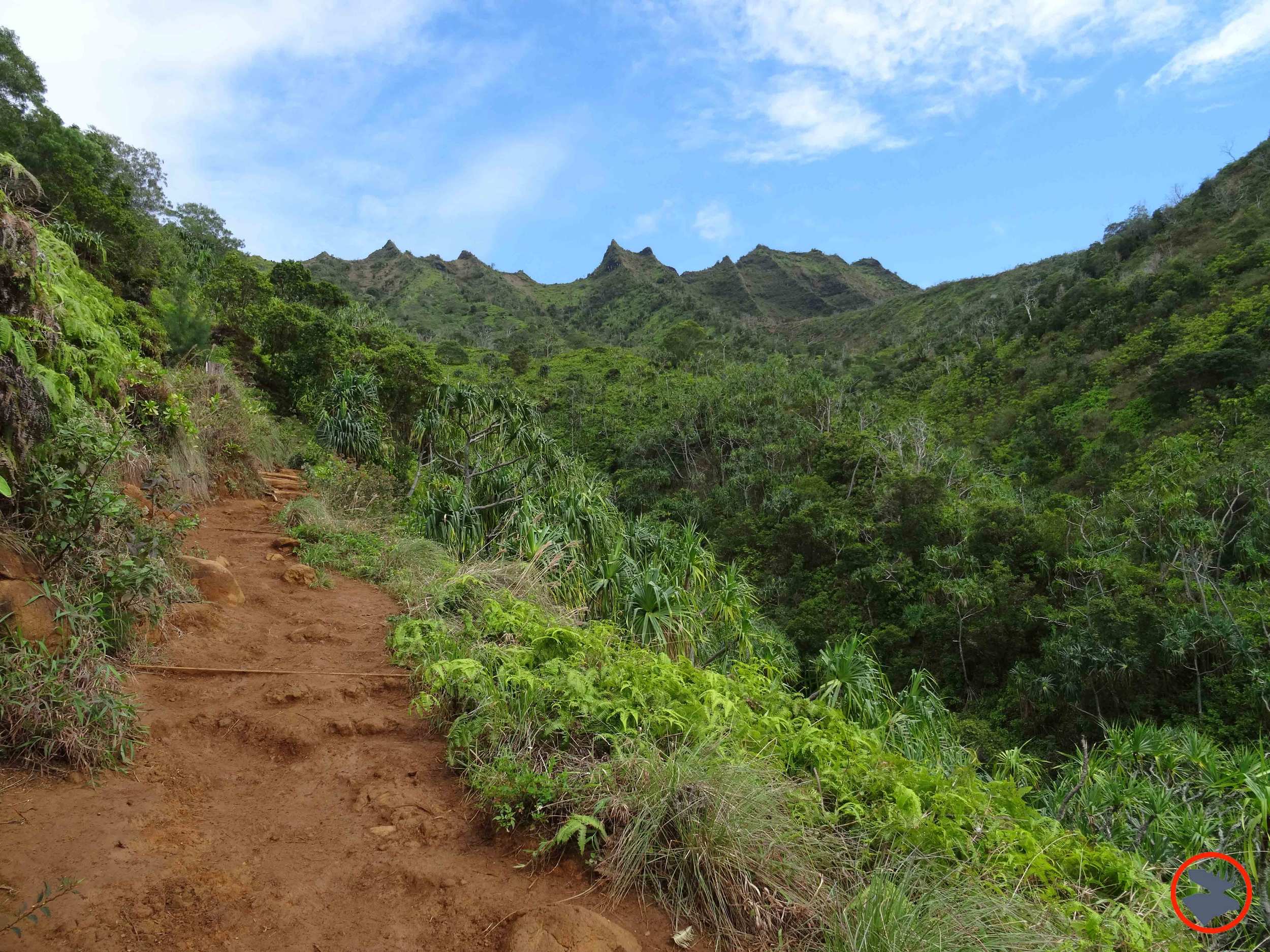 Kalalau-Trail-on-Napali-Coast.jpg