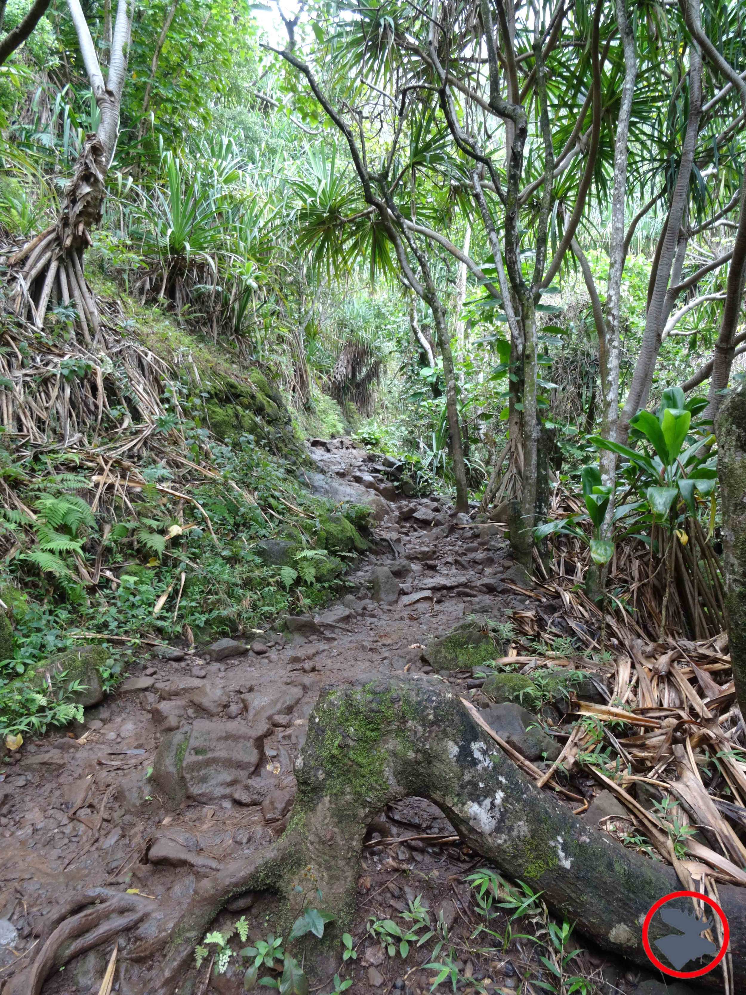 Kalalau-Trail.jpg