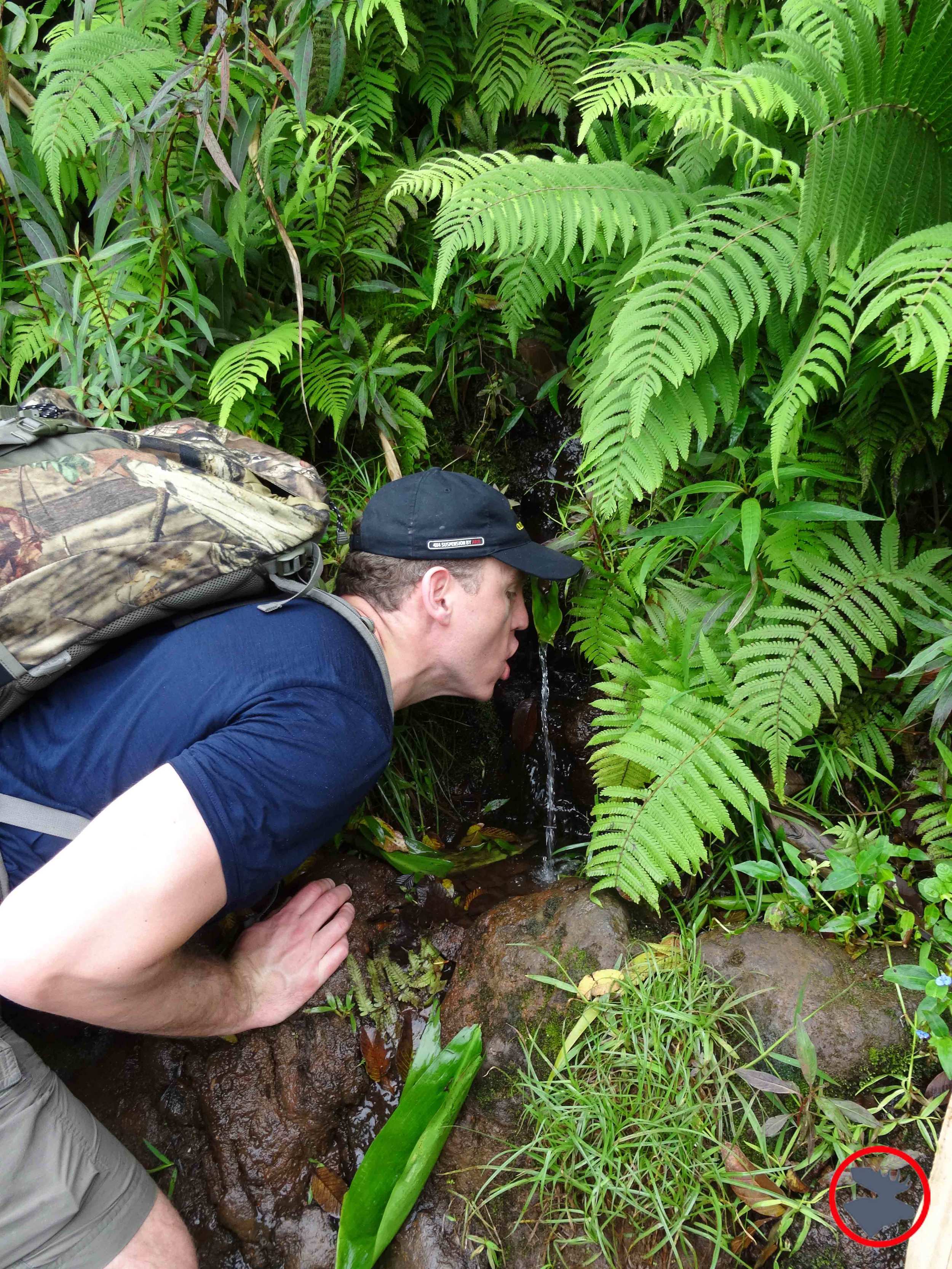 Scott-Drinking-Fountain.jpg