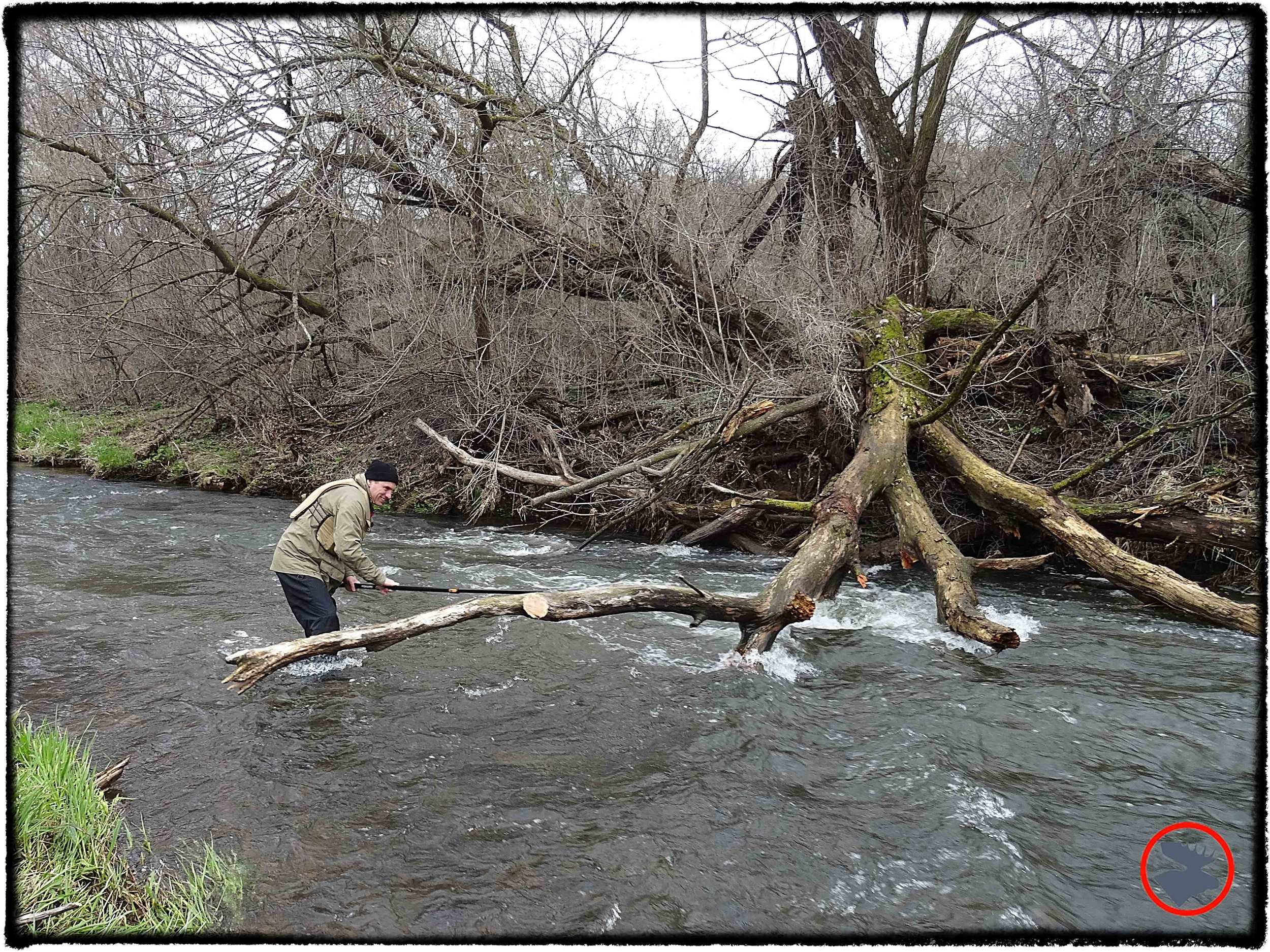 BMP-Post_Kinnickinnic-River_Scott-Cutting-Tree_May-2014.jpg