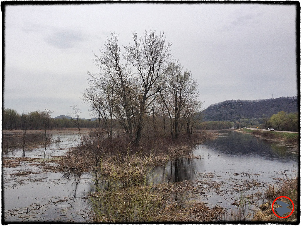 Blog-Post_Exped-Log_The-Road-Less-Travelled_Bluffs-and-Marsh_May-2014.jpg