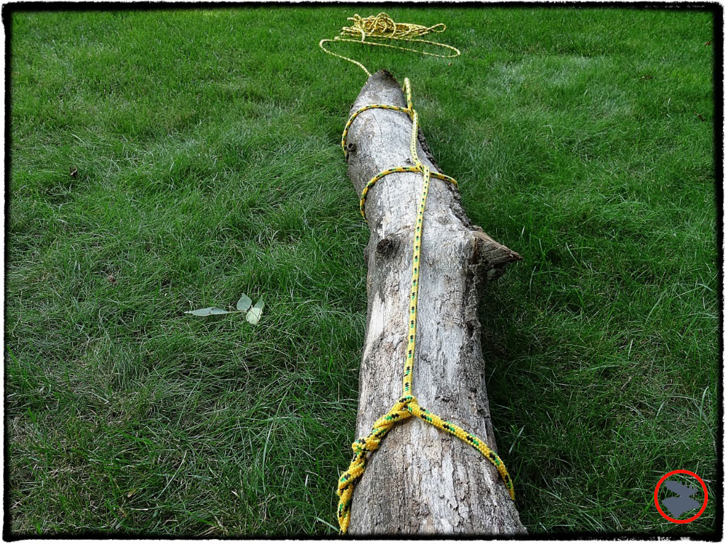 BMP-Post_Bootcamp_Timber-Hitch_Downed-Log_August-2014.jpg