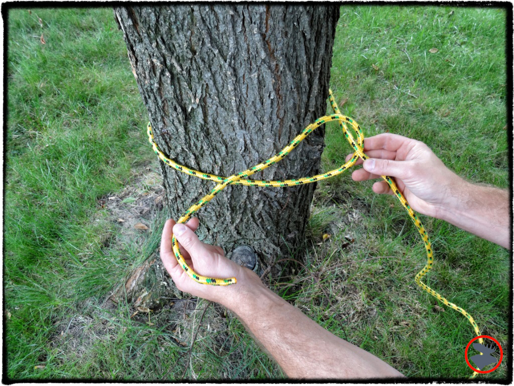 Timber Hitch The Unsung Campsite Hero Bull Moose Patrol