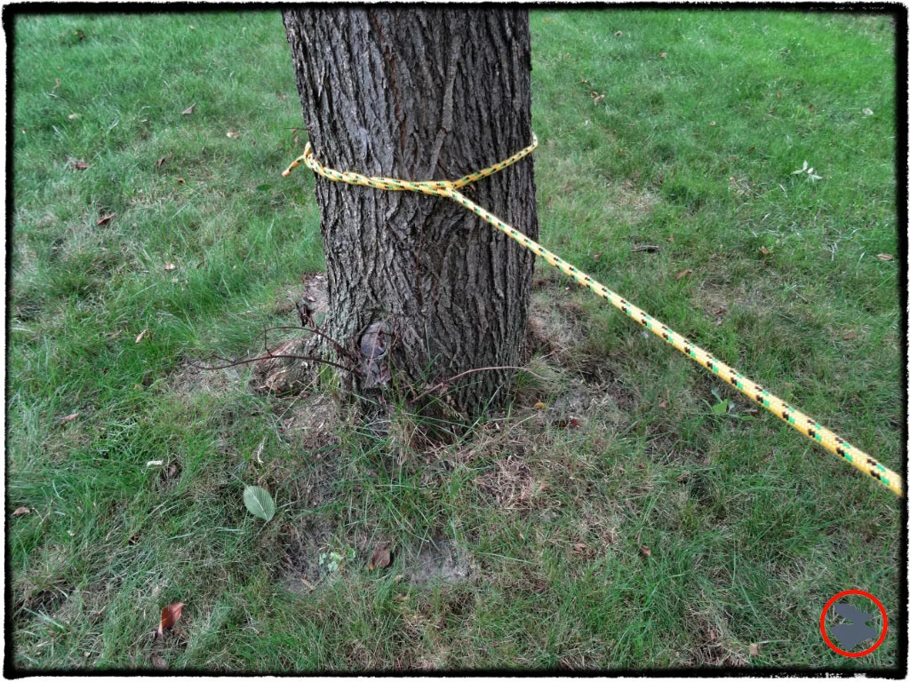 Timber Hitch: The Unsung Campsite Hero!