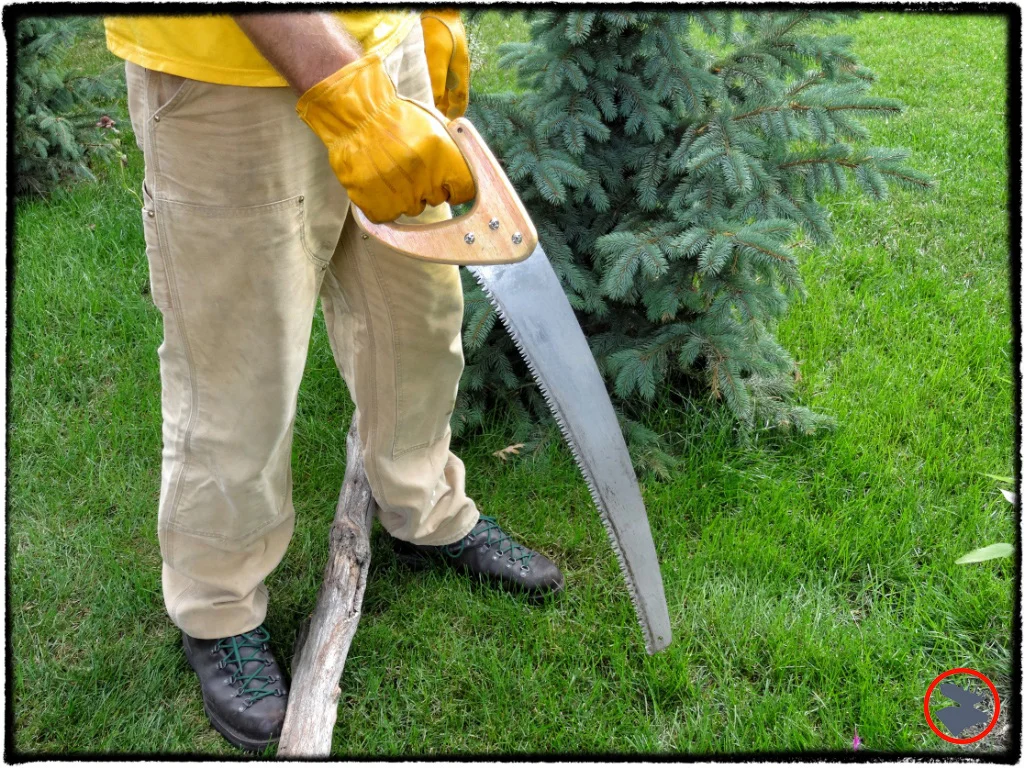 D-handle Saw: The Unexpected Go-to Camp Saw