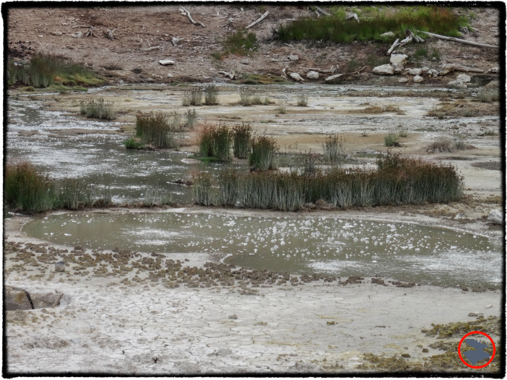 BMP-Post_Expedition-Log_Yellowstone_Bubbling-Hot-Springs_October-2-14.jpg