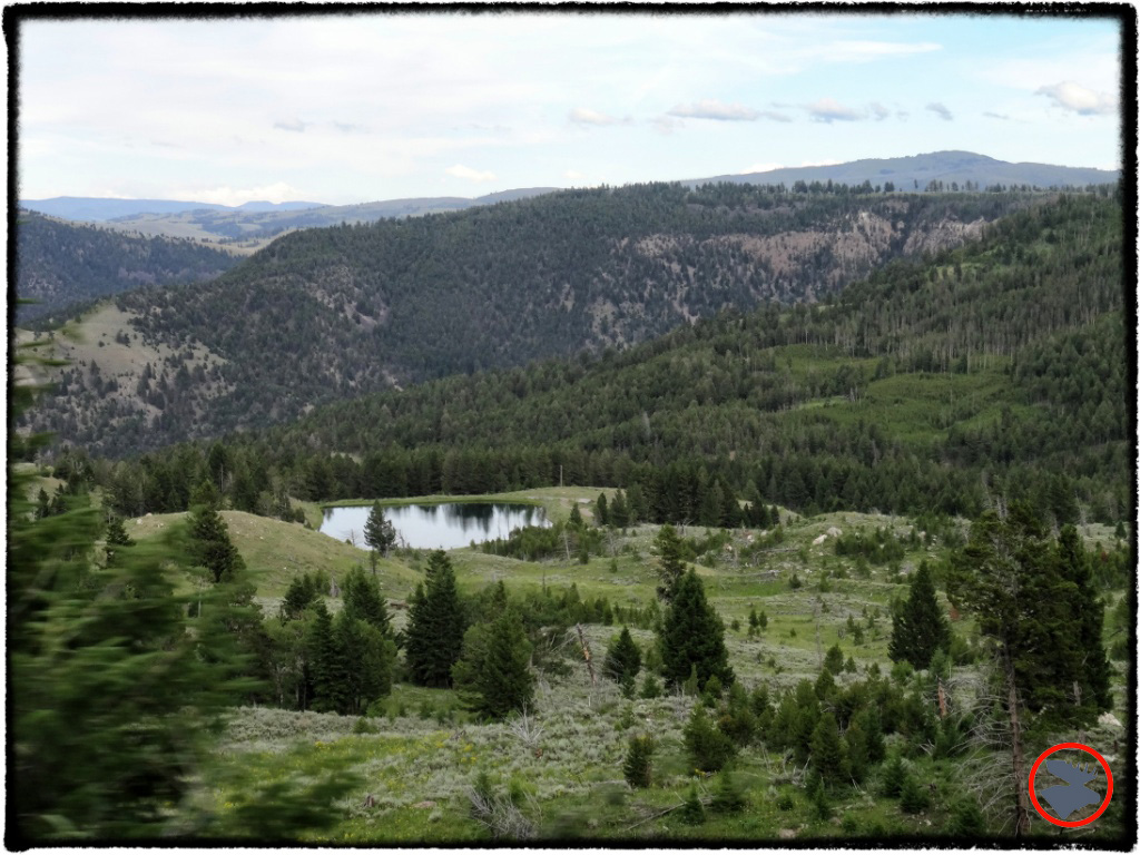 BMP-Post_Expedition-Log_Yellowstone_Hills_October-2014.jpg